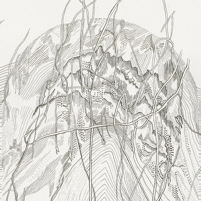 Grotto - Une estampe d’après Eva Jospin