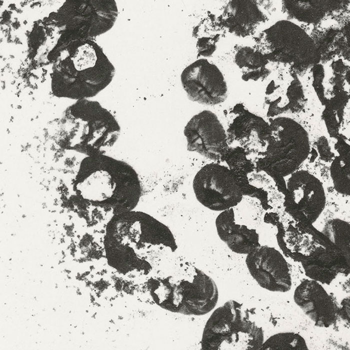 La Rose du Louvre, édition illimitée - Une estampe d’après Jean-Michel Othoniel