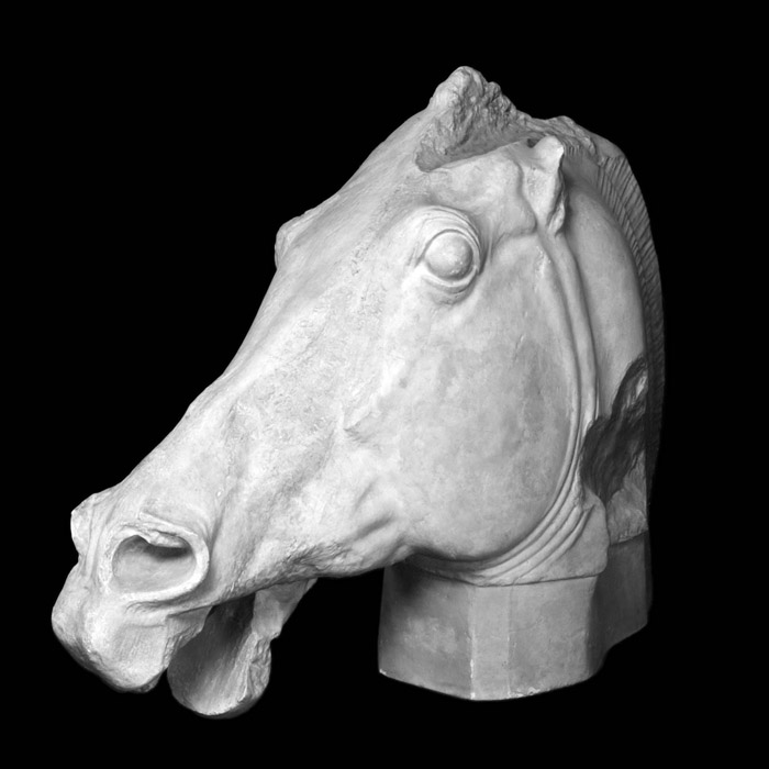 Tête d’un cheval de Séléné du Parthénon - Antiquités gréco-romaines - Reproduction d’une sculpture du British Museum, Londres