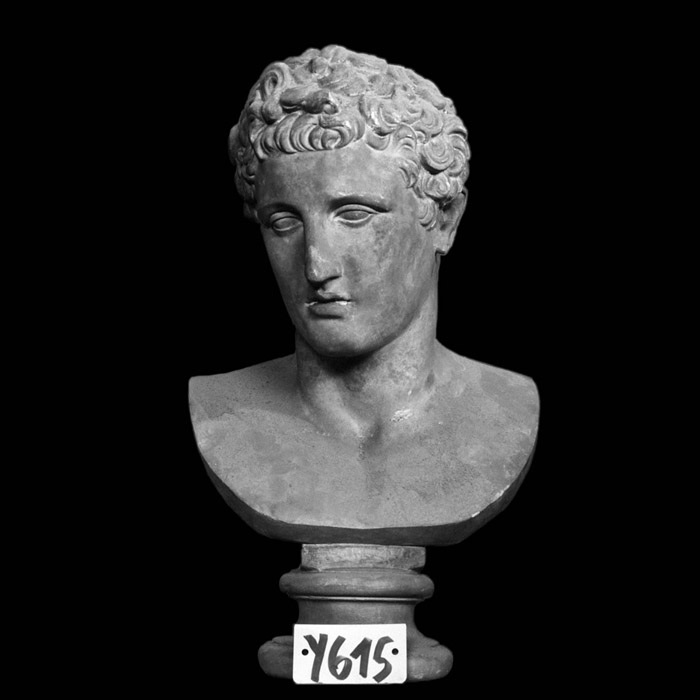 Buste de l’Antinoüs du Belvédère - Antiquités gréco-romaines - Reproduction d’une sculpture du Musées du Vatican, Rome