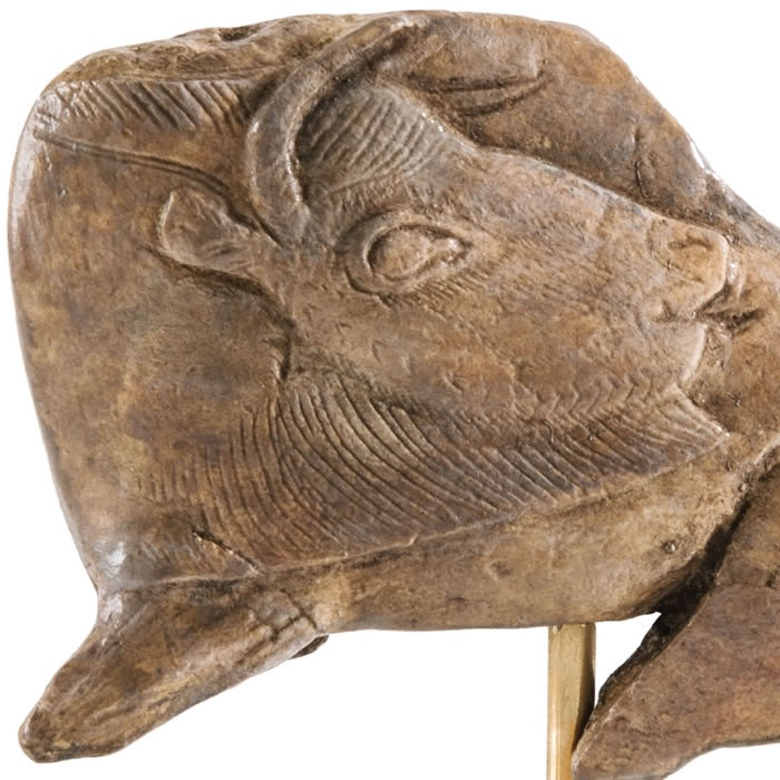 Bison licking itself - Prehistory - Reproduction d’une sculpture du Musée d’Archéologie nationale, Saint-Germain-en-Laye