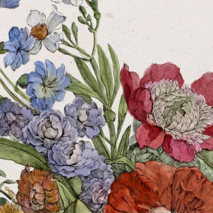 Vase de fleurs - Une estampe d’après Jacques Vauquer