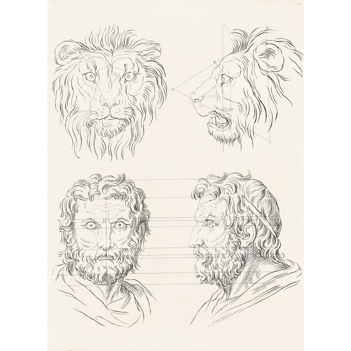 Rapport de la figure humaine avec celle du lion - Une estampe d’après Charles Le Brun
