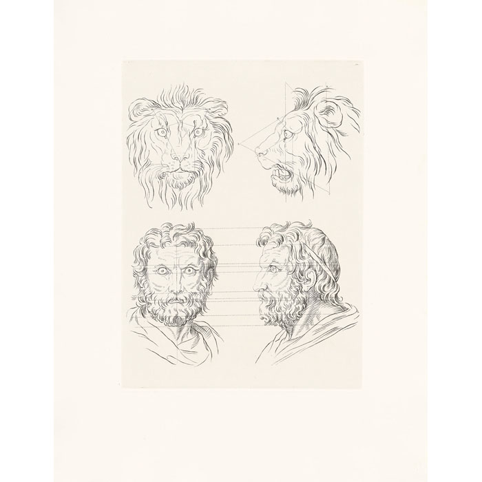 Rapport de la figure humaine avec celle du lion - Une estampe d’après Charles Le Brun