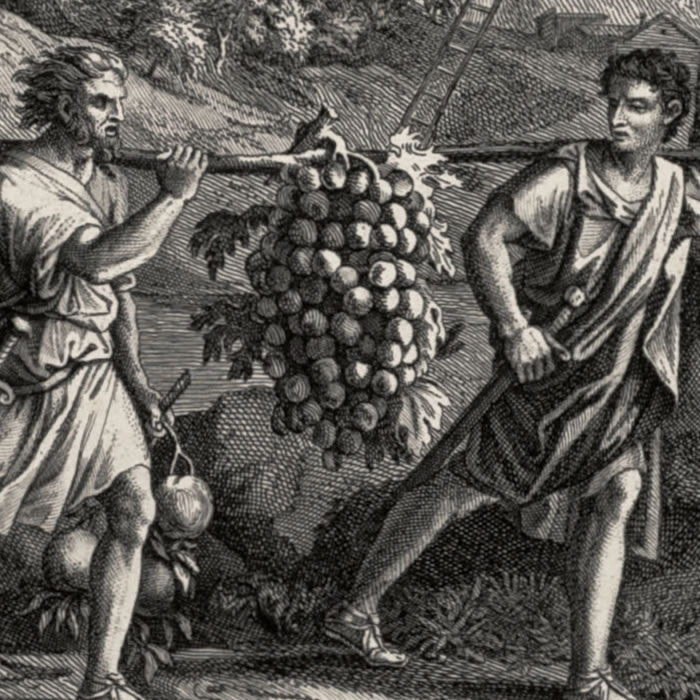 Autumn or the Grapes of Canaan - Une estampe d’après Nicolas Poussin