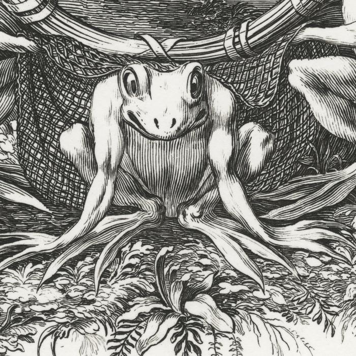 L’Eau : FACIT OMNIA LAETA - Une estampe d’après Jacques Bailly