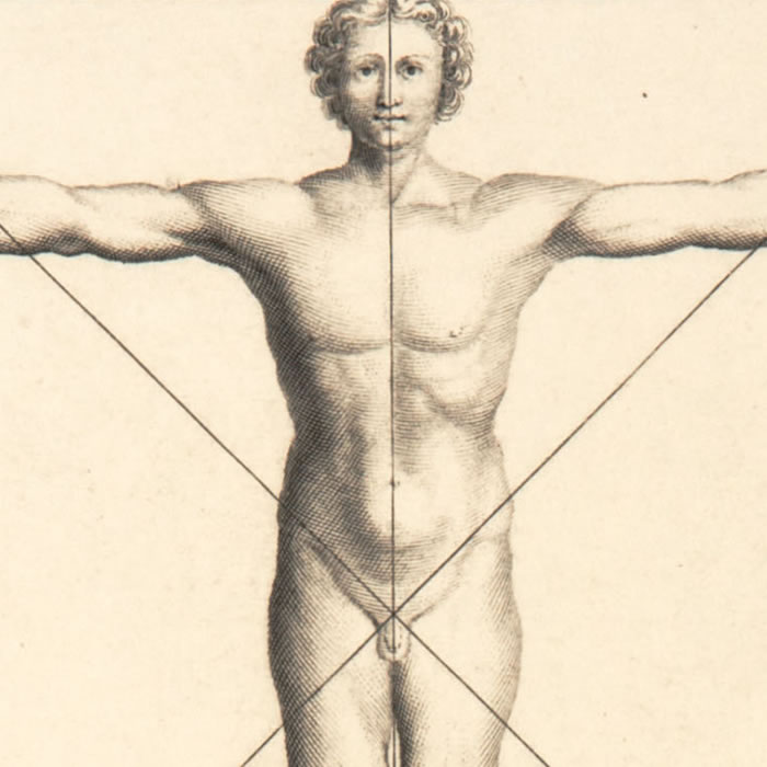 Les proportions du corps humain - Une estampe d’après Sébastien  Leclerc