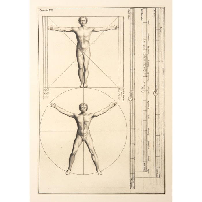 Les proportions du corps humain - Une estampe d’après Sébastien  Leclerc