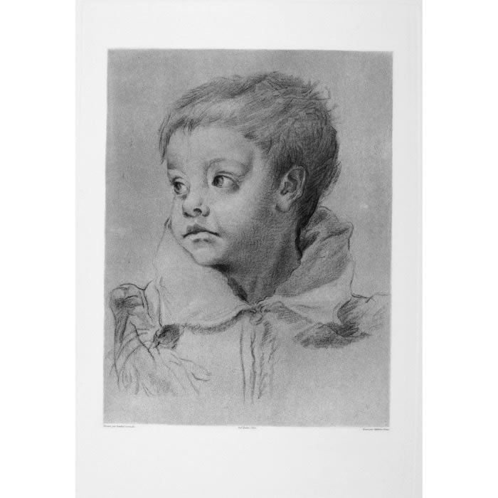 Tête de jeune garçon - Une estampe d’après Annibale Carracci