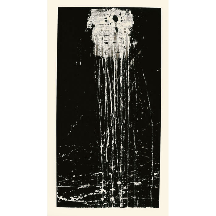 The Dragon King’s Daughter Waterfall - Une estampe d’après Pat Steir