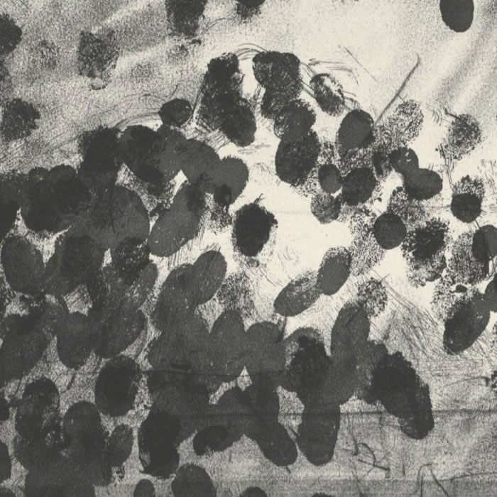 Blind Time V, (Temps aveugles V), version I - Une estampe d’après Robert Morris