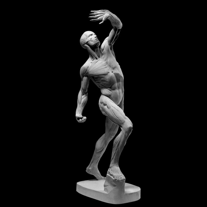Flayed man with stool or the fighter - Reproduction d’une sculpture de l’École nationale supérieure des beaux-arts, Paris